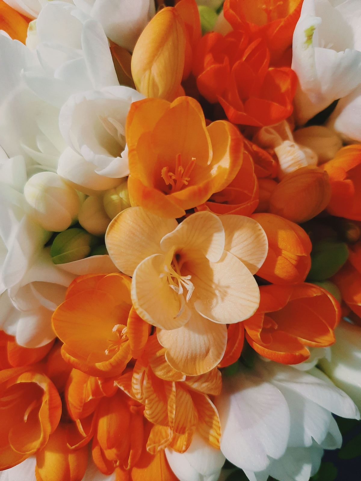 Rituel Floral chic